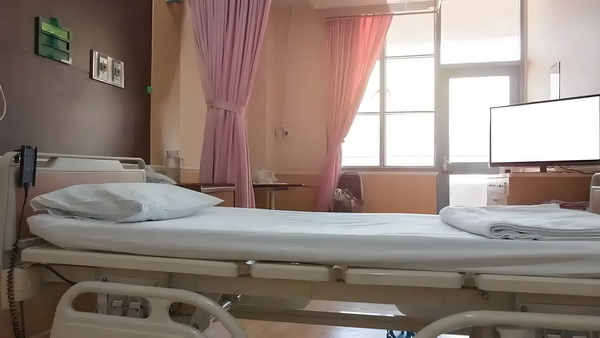 网游之崩坏世界