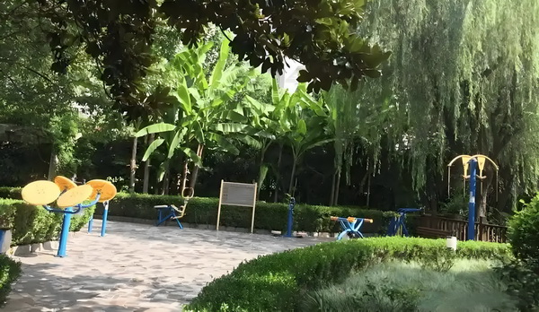 残夫：替身小奴婢