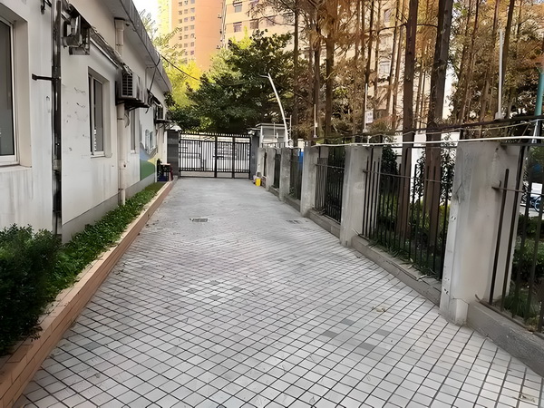 掌事骄女